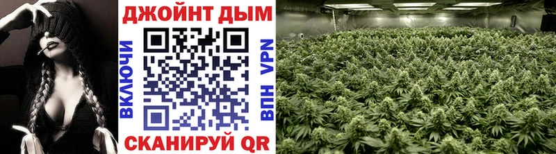 Где продают наркотики Красный Кут Марихуана  Мефедрон  кракен как зайти  Альфа ПВП  Галлюциногенные грибы  Гашиш  Кокаин 