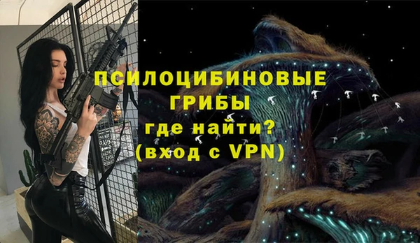 ГАЛЛЮЦИНОГЕННЫЕ ГРИБЫ Арсеньев