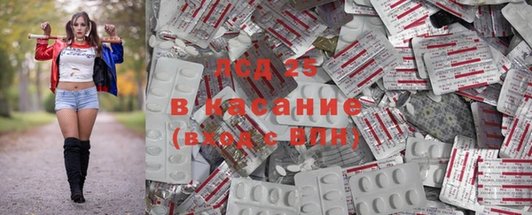 MESCALINE Аркадак