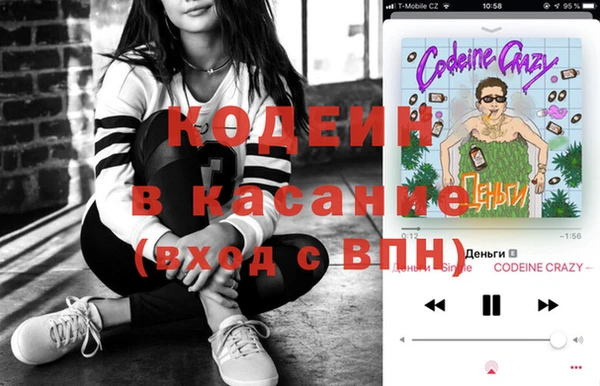 индика Армянск