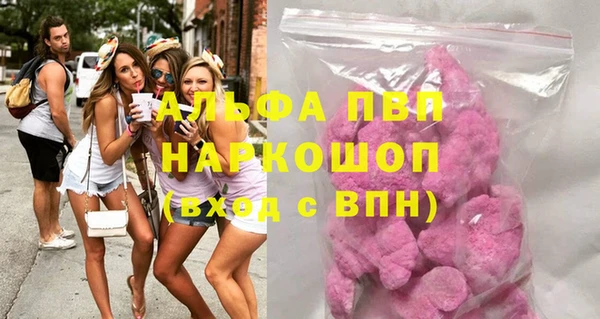 индика Армянск
