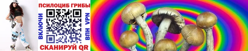 Псилоцибиновые грибы GOLDEN TEACHER mega онион Красный Кут
